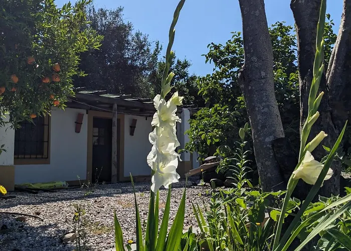 Riverlake House - Frente Ao Lago E Com Jardim